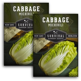 Survival Garden Seeds - Michihili Napa/Nappa Cabbage Seed for Planting - 2 Packs with Instructions to Plant Brassica Vegetables in Your Home Vegetable Garden - Non-GMO Heirloom Variety