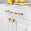 Amerdeco 10 Pack Champagne Bronze Cabinet Pulls 10 Inch(254MM) Hole