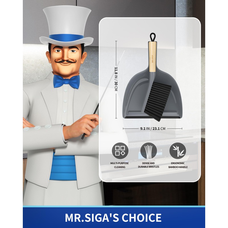 MR.SlGA Dustpan and Brush Set, Portable Cleaning Brush and Dustpan