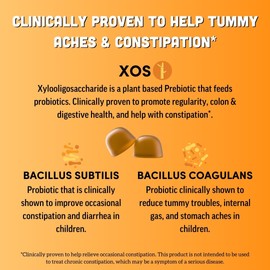 Llama Naturals Llama Naturals Real Fruit Prebiotic & Probiotic Kids Gummies | No Added Sugar Cane | Vegan Organic Synbiotics | Children Digestion, Toddler Probiotic 2B CFU | 60 ct, 30-60 Days | Peach Mango