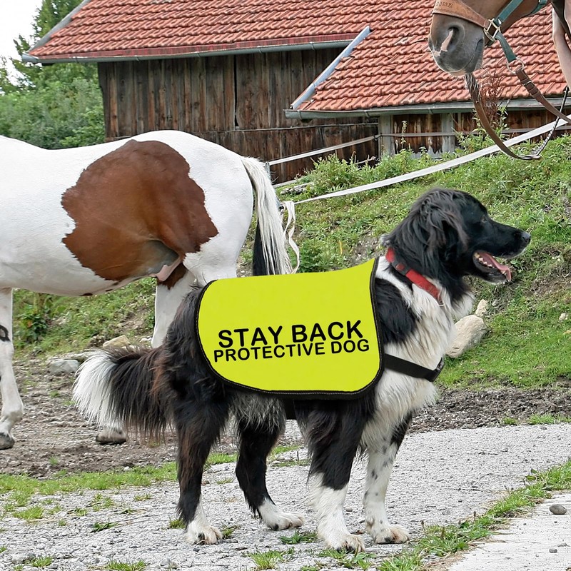 STAY BACK Dog Safety Vest, High Visibility Vest for Dogs,