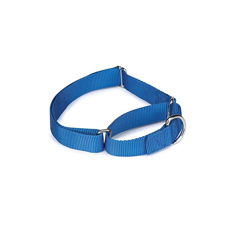Guardian Gear Nylon Martingale Dog Collar, Fits Necks 14" to