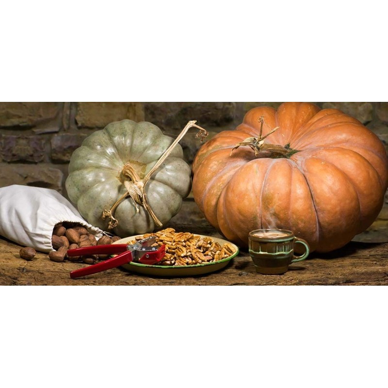 The Texan York Nut Sheller – One Nut Cracker, Tempered