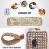 100 x 18.5 cm Bird Seagrass Mat Ladder Climbing Rope