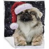 Pekingese Dog Blanket - Let it Snow - Super Soft
