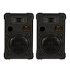 Goldwood DJ Speakers (DPI-800C/8)