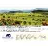 Williamson Tea Gift, Bonus Item, Present, Gift Bag Included
