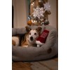 Petface Ivy Ice Skate Plush Dog Toy with Built-In Squeaker
