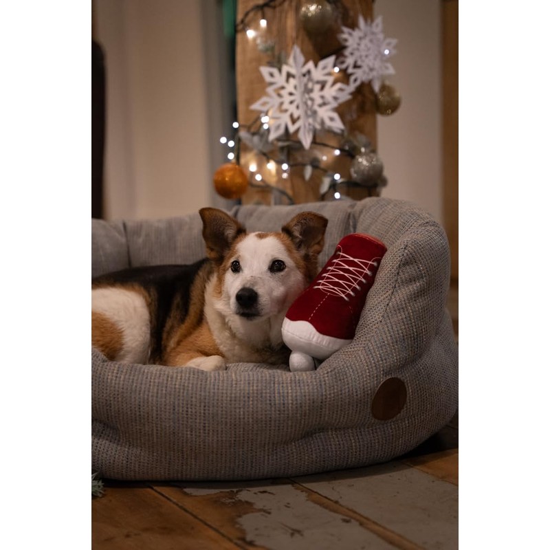 Petface Ivy Ice Skate Plush Dog Toy with Built-In Squeaker