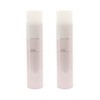 [Set of 2] Milbon Nizella Fusion Stay Fog 6.1 oz