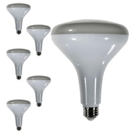 Diodesy- BR40 LED Flood Light Bulb 9W 650 Lumen E26 Medium Base 5000K Bright White for Interior Home Decor Kitchen Recessed Can Light Bulbs 120V 120° Beam Angle White Finish Pack of 6