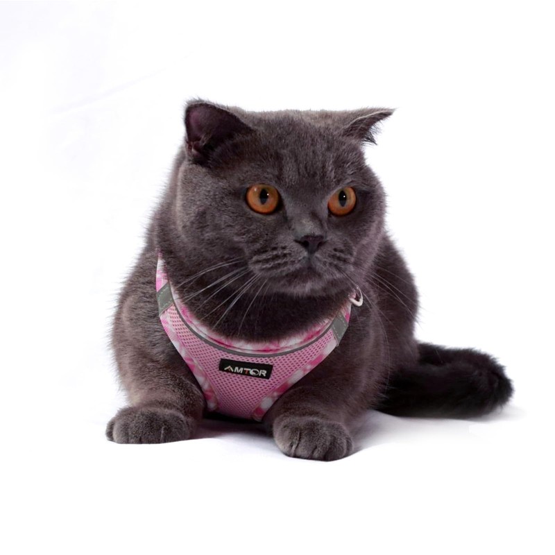 AMTOR Small Dog Harness with Leash Set, No Escape Easy