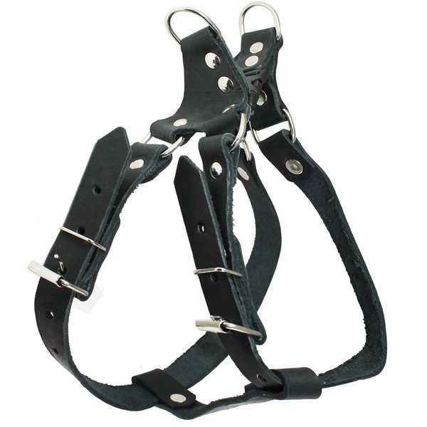 Genuine Leather Medium 18.5"-22" Chest 3/4-inch Wide Adjustable Dog Step-in Harness Black
