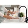 DJS Kitchen Faucets with Pull Down Sprayer Matte Black -