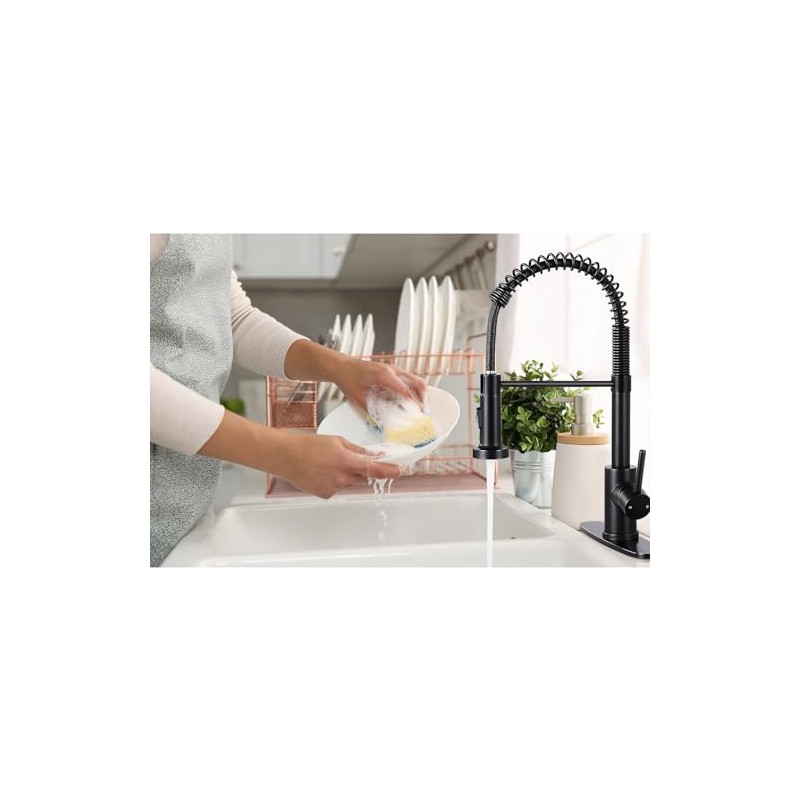 DJS Kitchen Faucets with Pull Down Sprayer Matte Black -