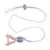 Pet Pig Vest Harness with Leash Set EscapeProof Walking Harness