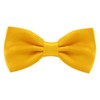 Time to Sparkle Bow Tie Mens Bowties Pre-tied Shape Clip