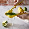 Lakeland Simple Squeeze Action Citrus Juicer - Easy to Use!