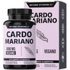 Beyond Vitamins | Cardo Mariano (extracto de Silimarina 100% natural