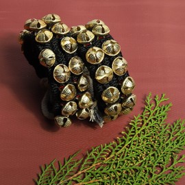 Dancing Bells Anklet Ghungroo with Colored Cushion Pad 2 Line with (20+20) Bells Best for Indian Classical Dance, Indian Style Brass Ankle Bells, Black