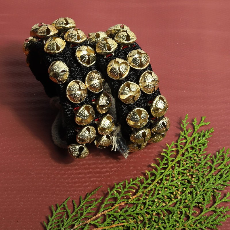 Dancing Bells Anklet Ghungroo with Colored Cushion Pad 2 Line