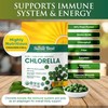 Sunlit Best USDA Organic Premium Chlorella Tablets 1000 Count |