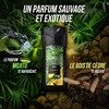 Axe Wild Shower Gel for a Refreshing Shower Experience Green