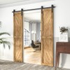 WINSOON 6FT Barn Door Hardware Kit: Double Sliding Door Hardware