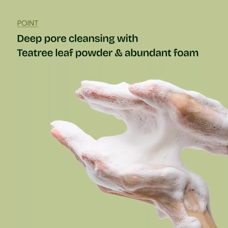 Orien Mugwort Zero Film Cleansing Foam 5.07 fl.oz 150ml Daily