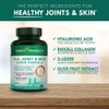 Purity Products H.A. Joint and Skin Super Formula Biocell Collagen