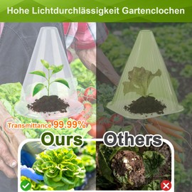 Pack of 24: Plant Hat, Plant Hat, Transparent Cover for Salad Plants to Protect Against Birds, Snails, Frost or Weather - Protects Plants from Animal Eating, Diameter 20 cm, (24, Small Transparent)