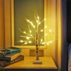 pete mici Tree Lamp, 2FT 24LT LAMP, Birch Tree-Warm White,