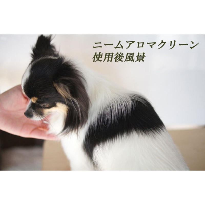 Neem Aroma Clean Lavender, 1.7 fl oz (50 ml), Bloom