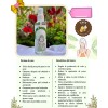 Agua De Hemamelis Tónico Facial Con Atomizador