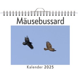 Mäusebussard - (Wandkalender 2025, Kalender DIN A4 quer, Monatskalender im Querformat mit Kalendarium, das perfekte Geschenk)