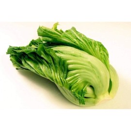 American Seed 1000+ Kekkyu Takana, Oriental Mustard , Gai Choy, Brassica Juncea, Cải  dưa chua