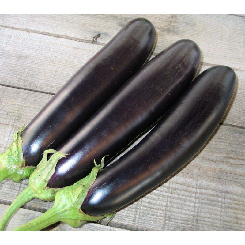 RAISE ME UP: Seeds Black Eggplant Long Pop Non GMO