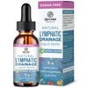 Lymphatic Drainage Support Drops – 11-in-1 Herbal Extract Formula with