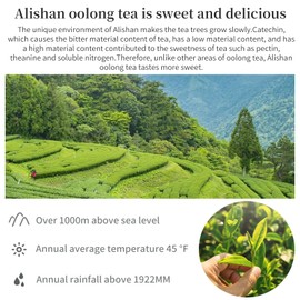Yuexi Alishan Oolong Tea Loose Leaf Taiwan Tea Taiwan High Mountain Oolong Tea Taiwan Oolong Tea Taiwan Gaoshan Ulong Tea Green Oolong Tea 阿里山 台湾茶 高山茶 乌龙茶 150g/5.29oz