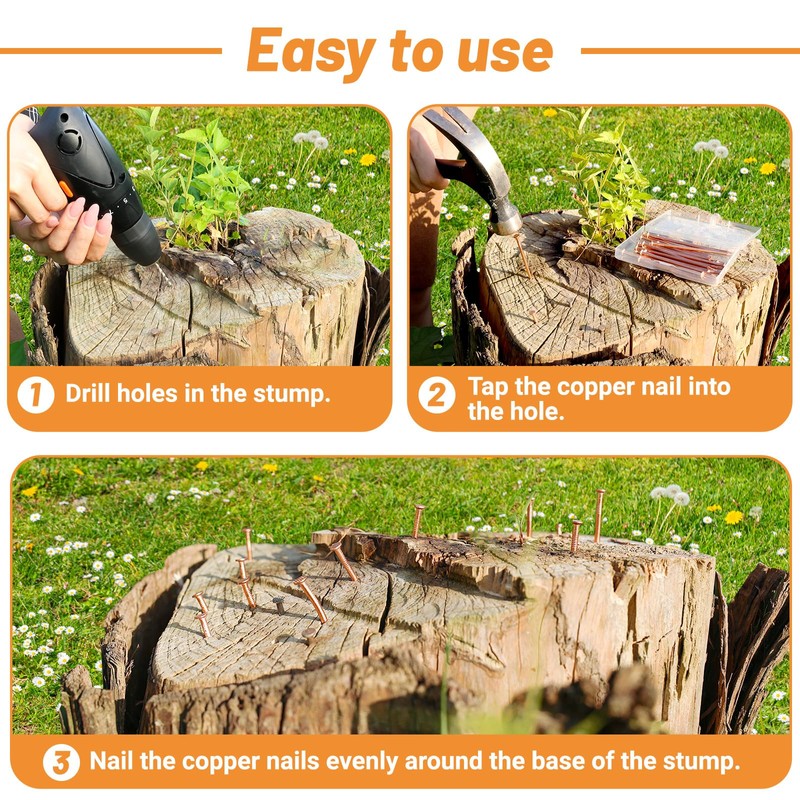 UCandy 20Pack Copper Nails for Killing Trees Stump Root, 3.15"