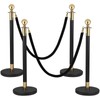 Yeatruojeet 4 PCS Stainless Steel Stanchion Post,5 Ft Black Velvet