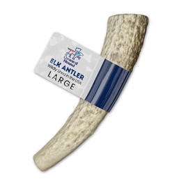 Onward Hound Elk Antler Dog Chew Large 1-Pack - Grade A Naturally Shed Deer Antlers for Dogs - Boredom Buster Dog Antlers for Aggressive Chewers - 7” Whole Elk Antler Dog Chew Toy for 30-65lb Dogs