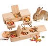 SoulThink Interactive Wooden Rabbit Enrichment Toys - Sniff n' Snack