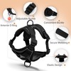 Jolifield No Pull Dog Harness with Leash Set for Medium