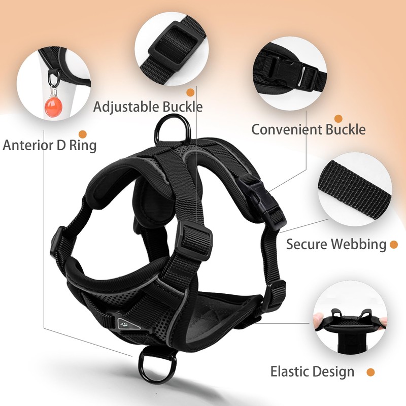 Jolifield No Pull Dog Harness with Leash Set for Medium