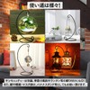 Charmoon Display Stand Suncatcher Hanging Pedestal Interior Tabletop Universal Banana
