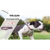 Martingale Collar for Small Dogs Non Slip Escape Proof Choke