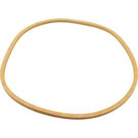 Horizon Spa & Pool Parts Gasket, American Prod Separtaion Tank, Lid, Generic