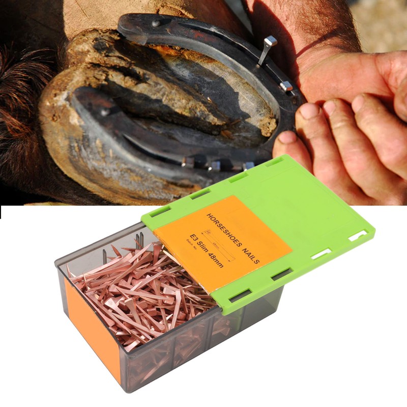 250Pcs Horseshoe Nails Copper Plating Shoeing Nails with Plastic Box