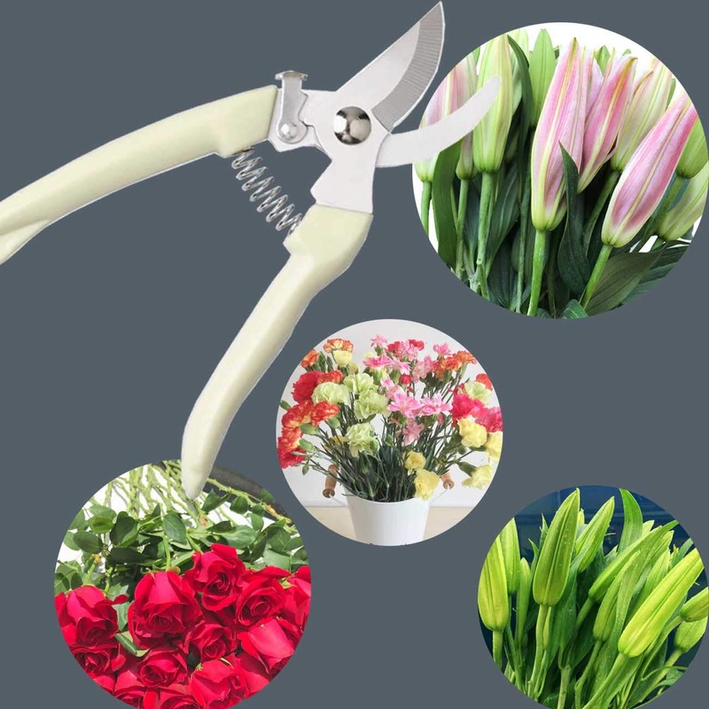 3CR13 Garden Shears farmer florist Pruner For garden picking fruit